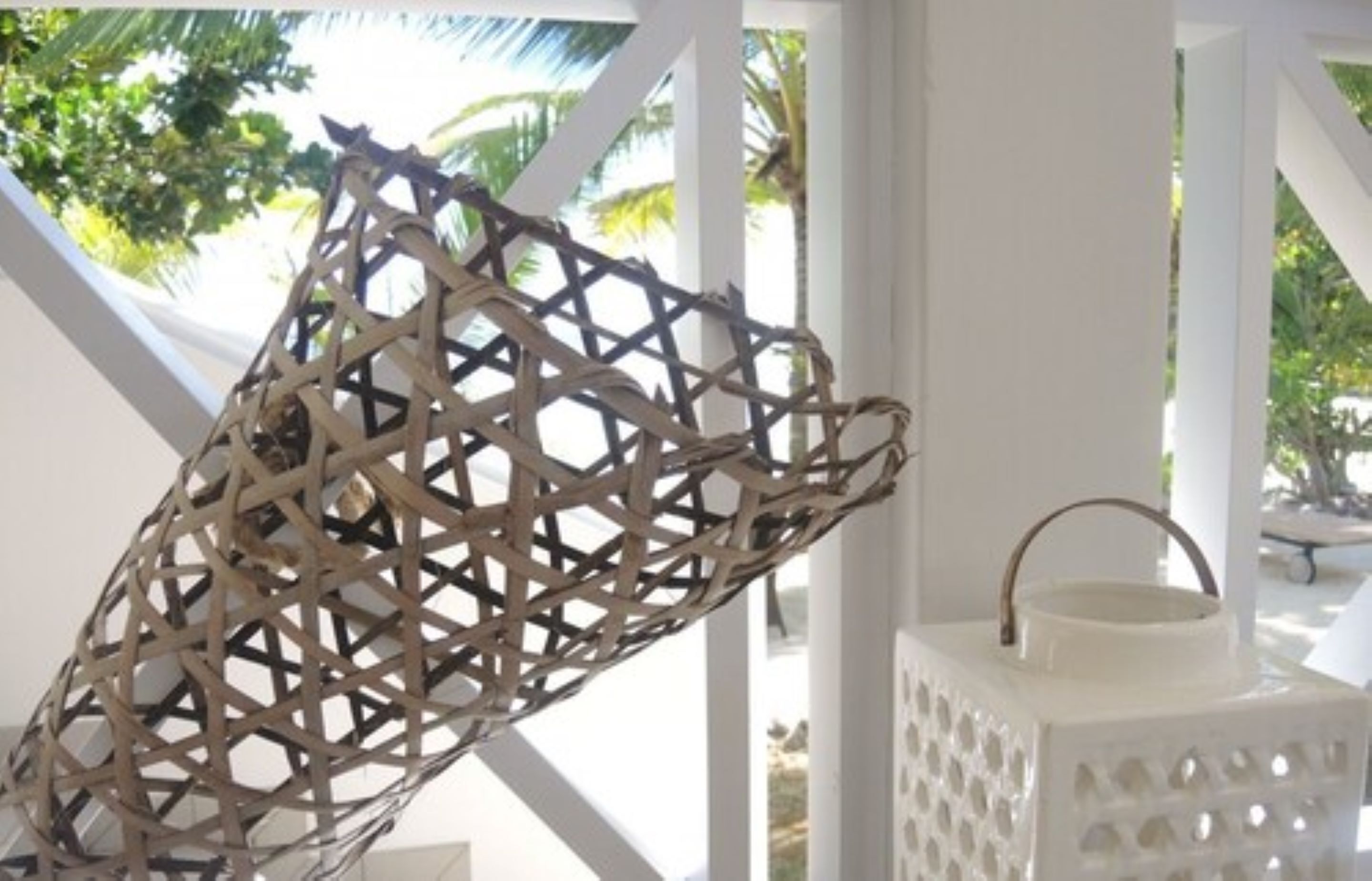 Photo - La Belle Tortue