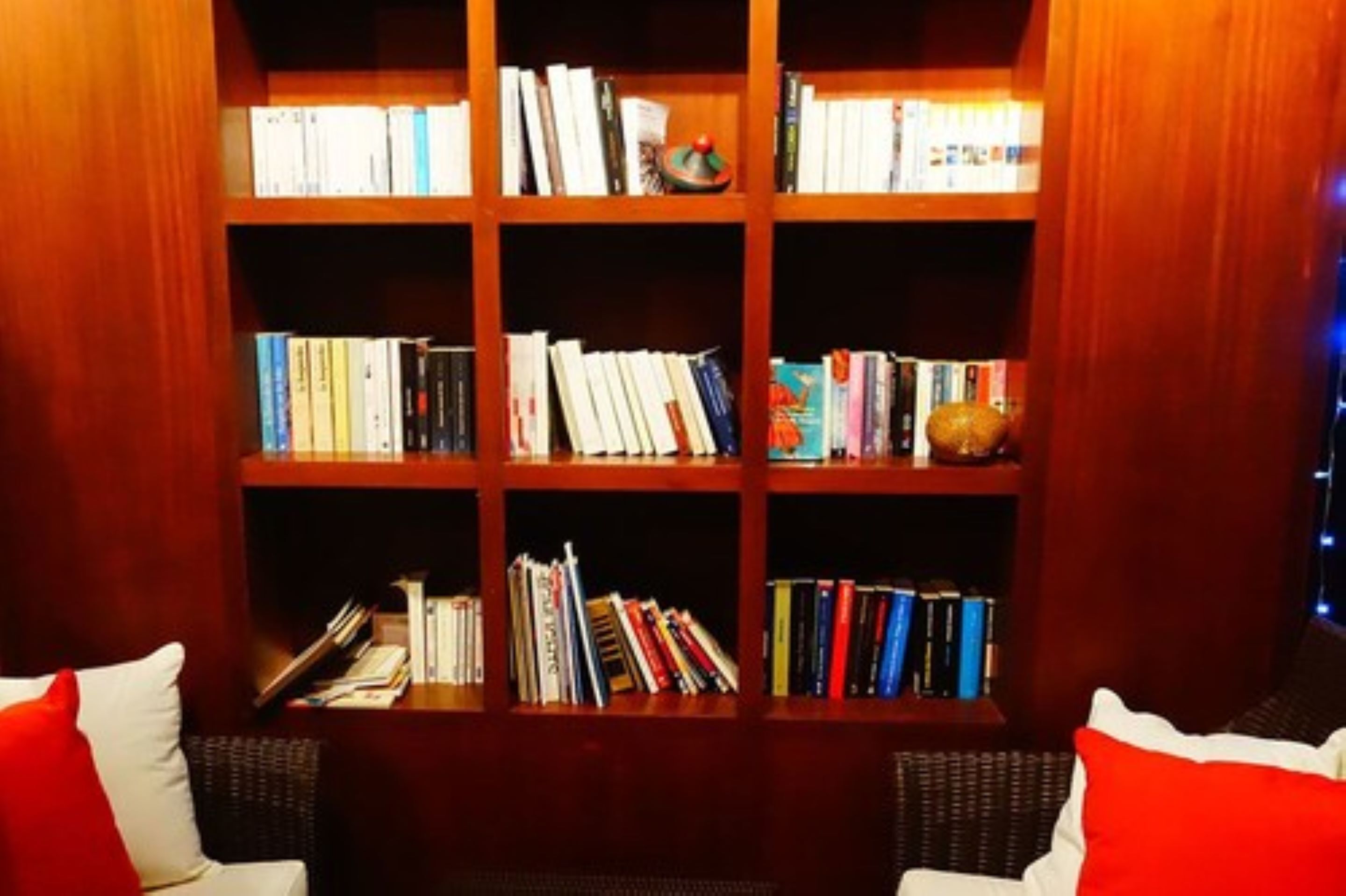 Photo - La Belle Tortue