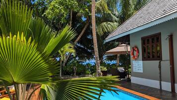 A pool area with wooden decking, palm trees, and a building with a corrugated metal roof.