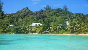 Une plage avec une eau turquoise et limpide, des palmiers et une colline couverte de végétation.