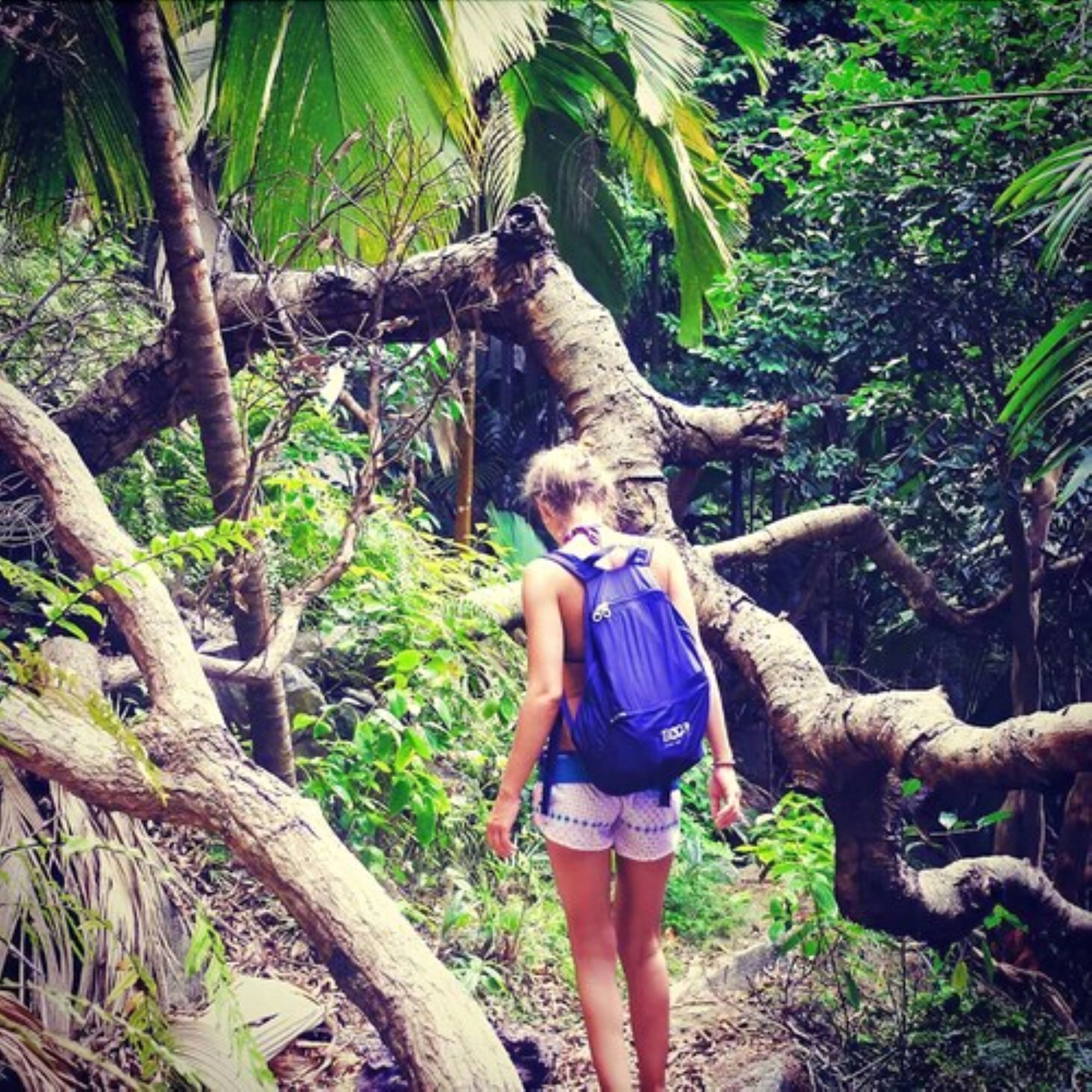 Photo - La Belle Tortue