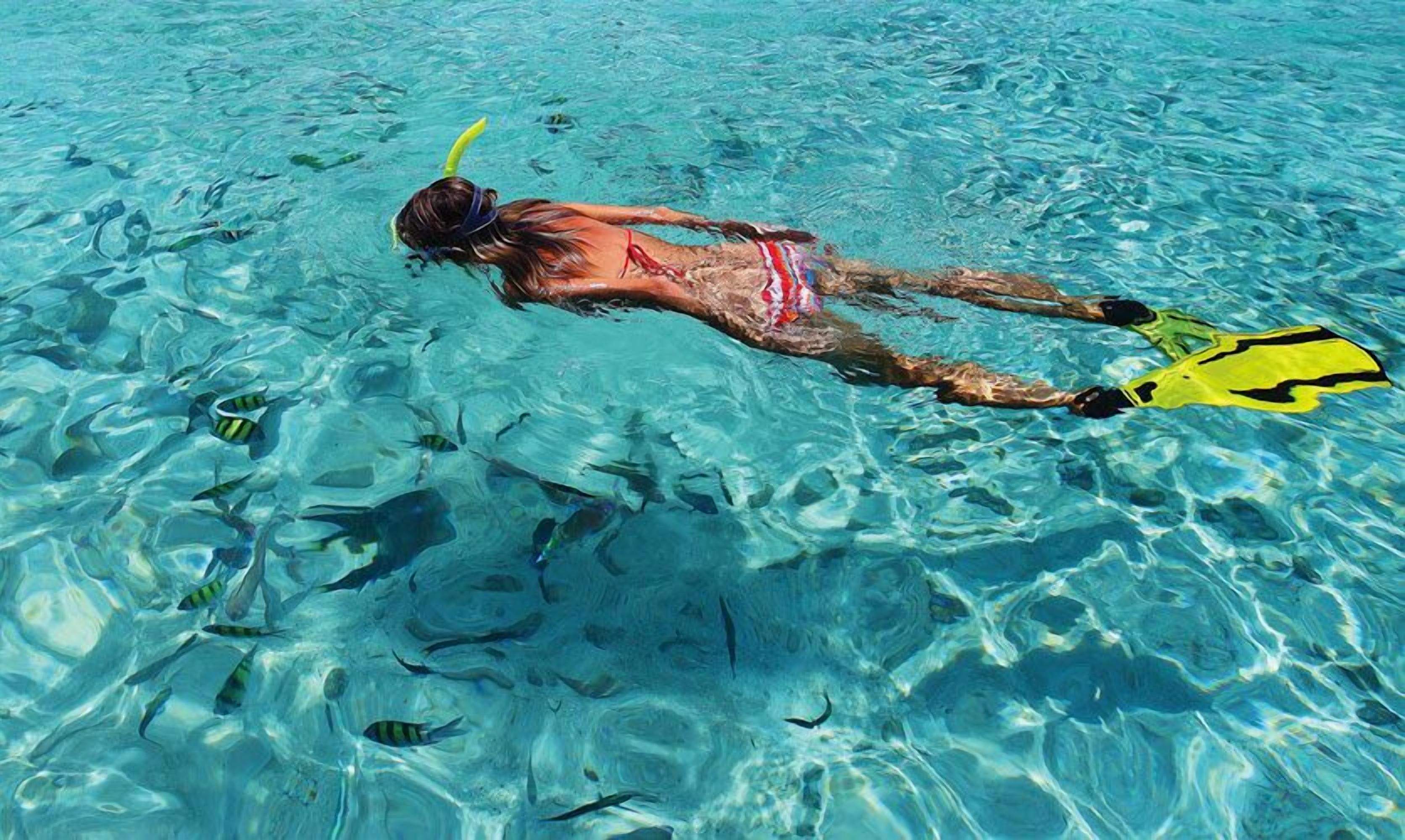 Photo - La Belle Tortue