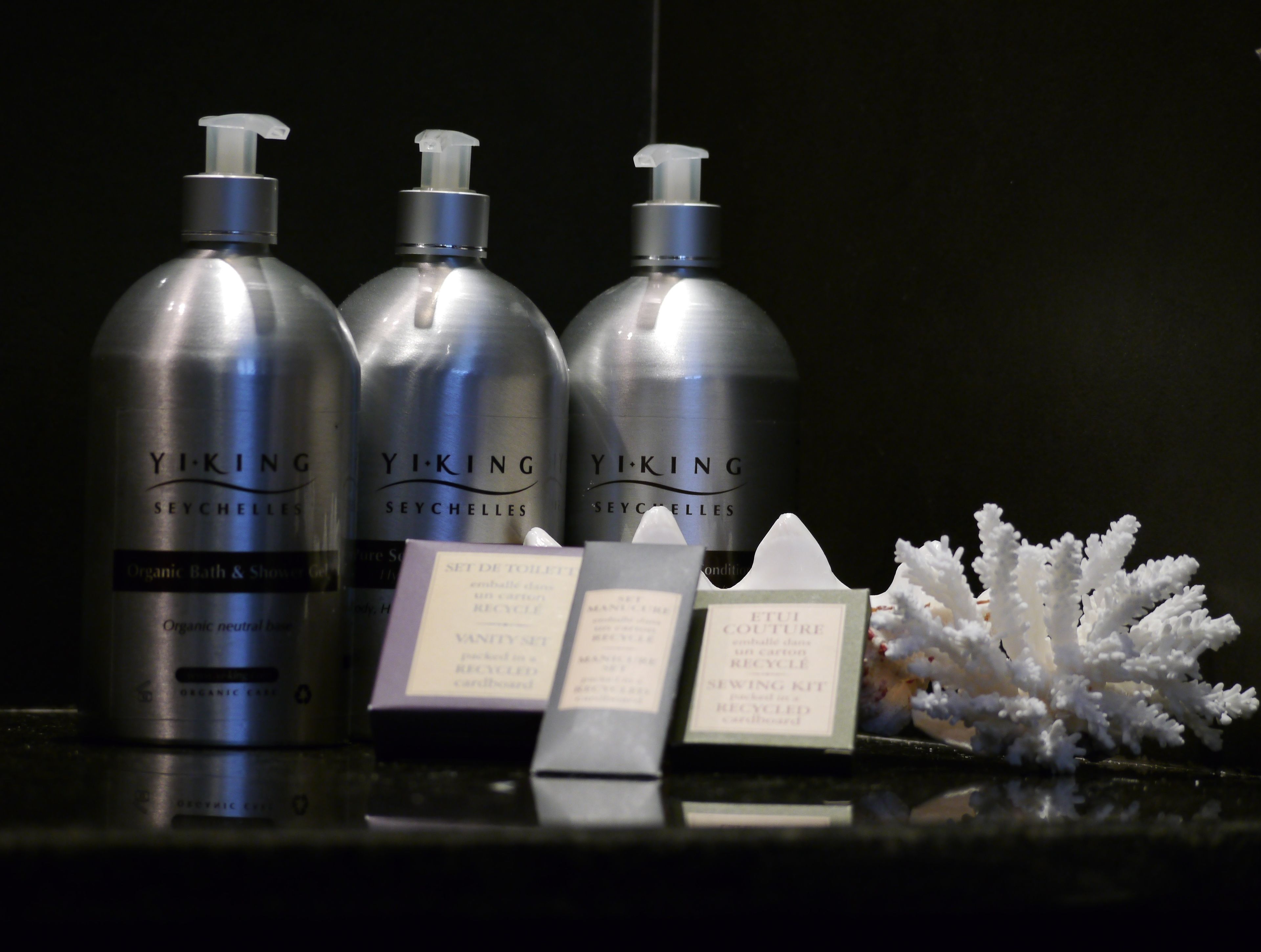 Photo - La Belle Tortue