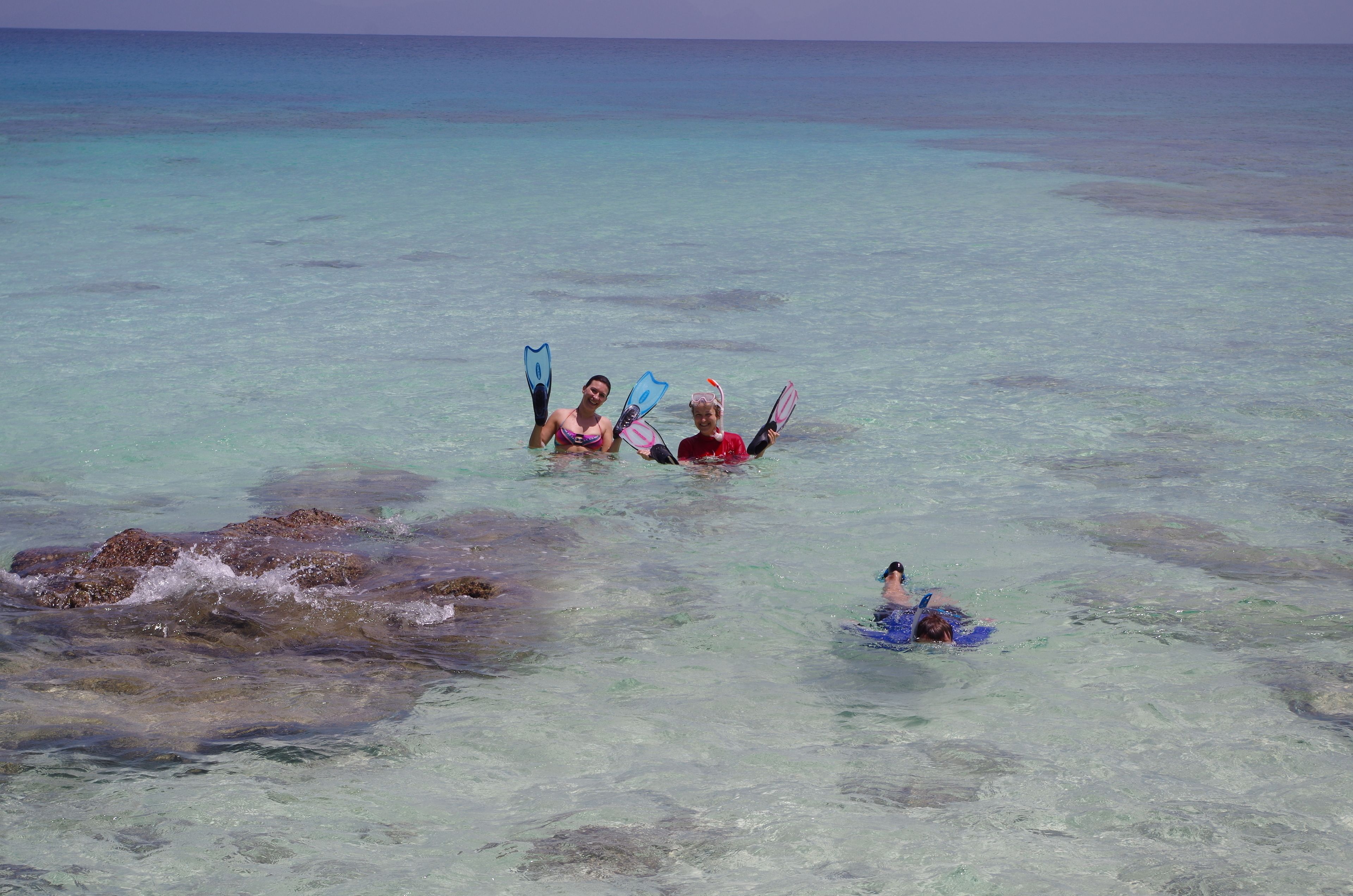 Photo - La Belle Tortue