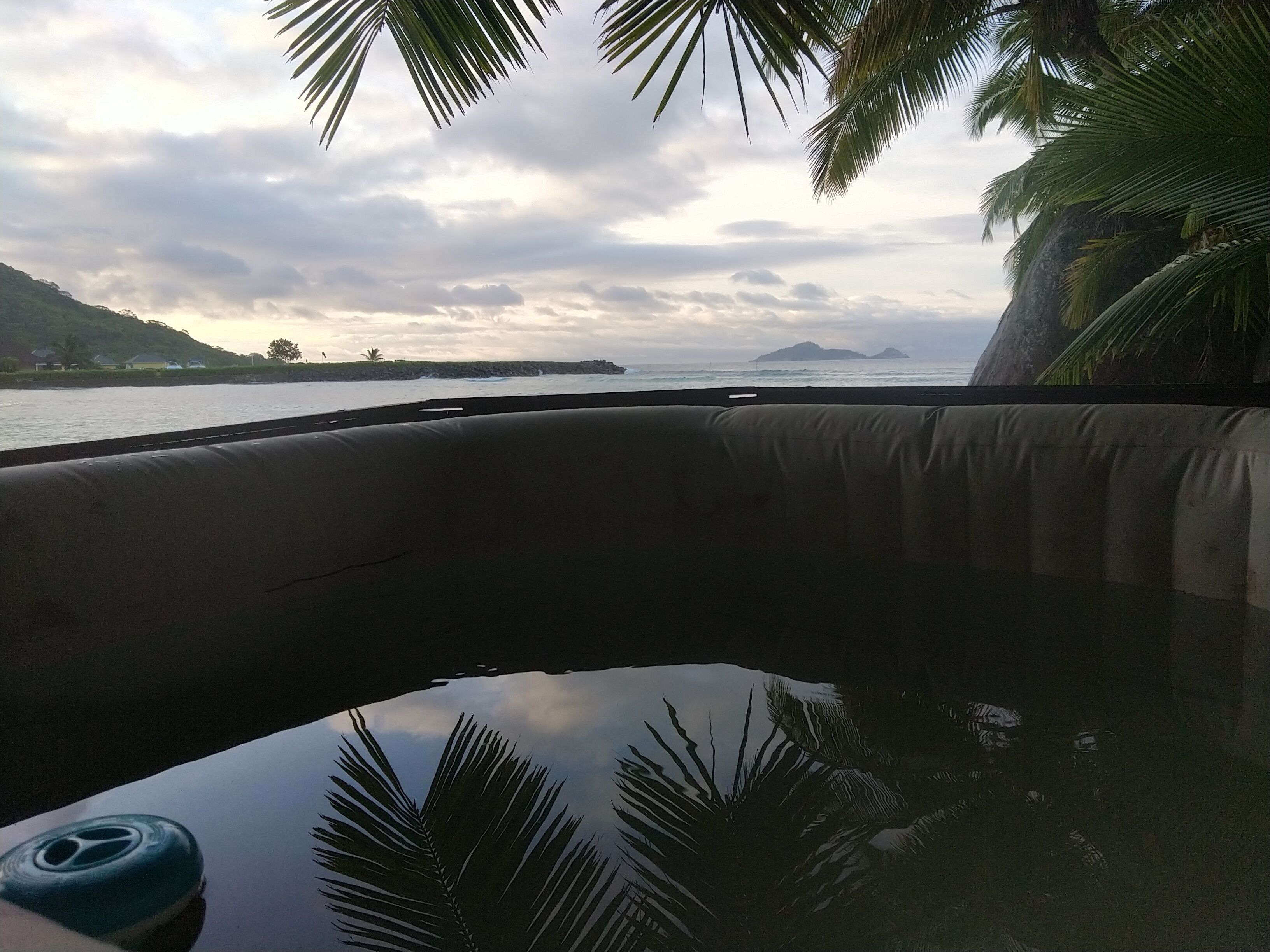 Photo - La Belle Tortue