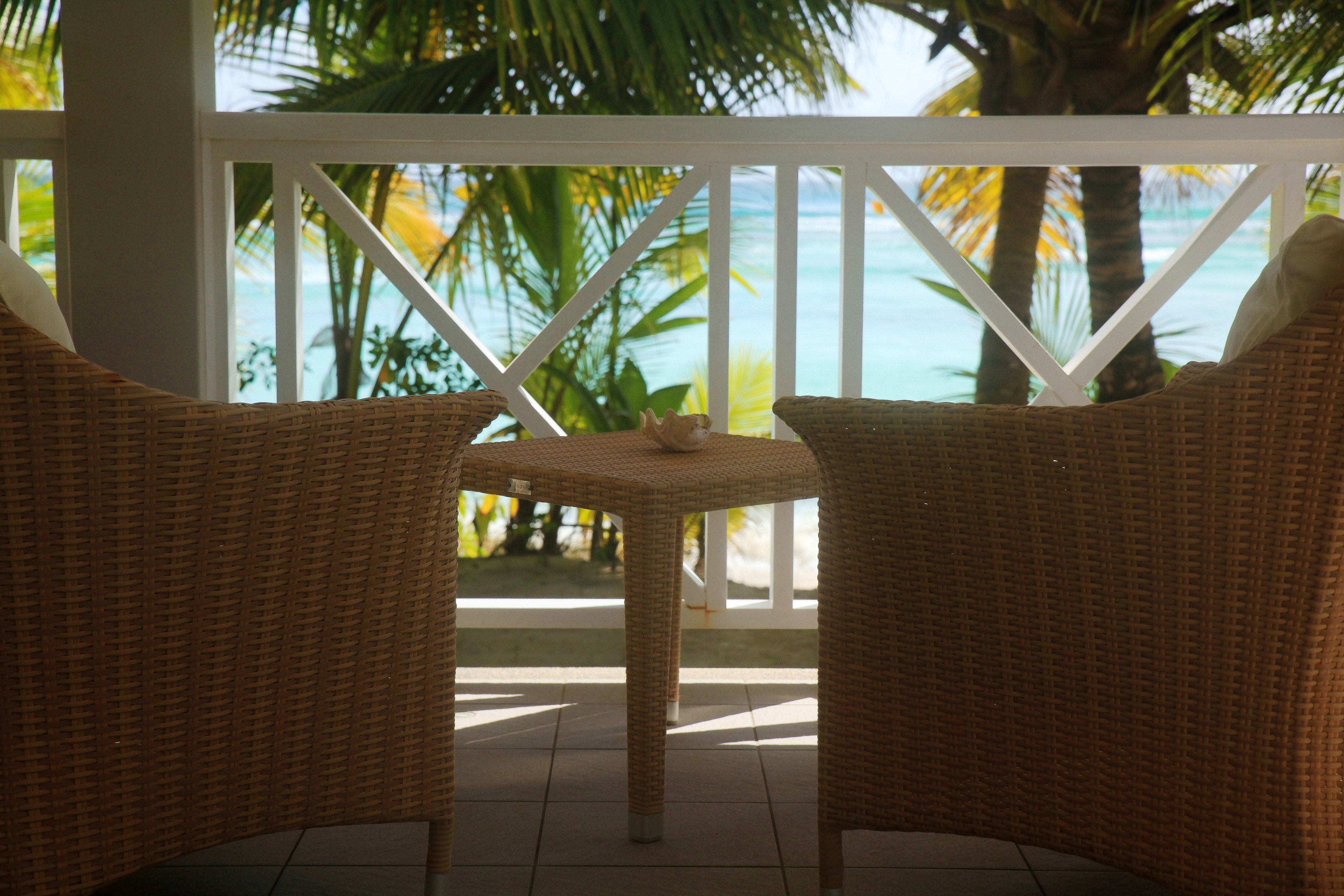 Photo - La Belle Tortue