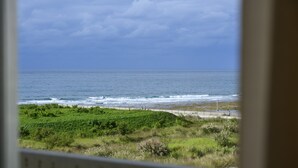 A coastal view with a fence, greenery, and the ocean.