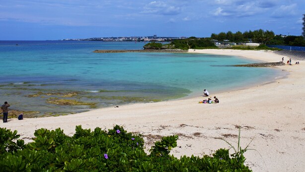 A beach with clear turquoise water, sandy shore, and some greenery in the foreground.