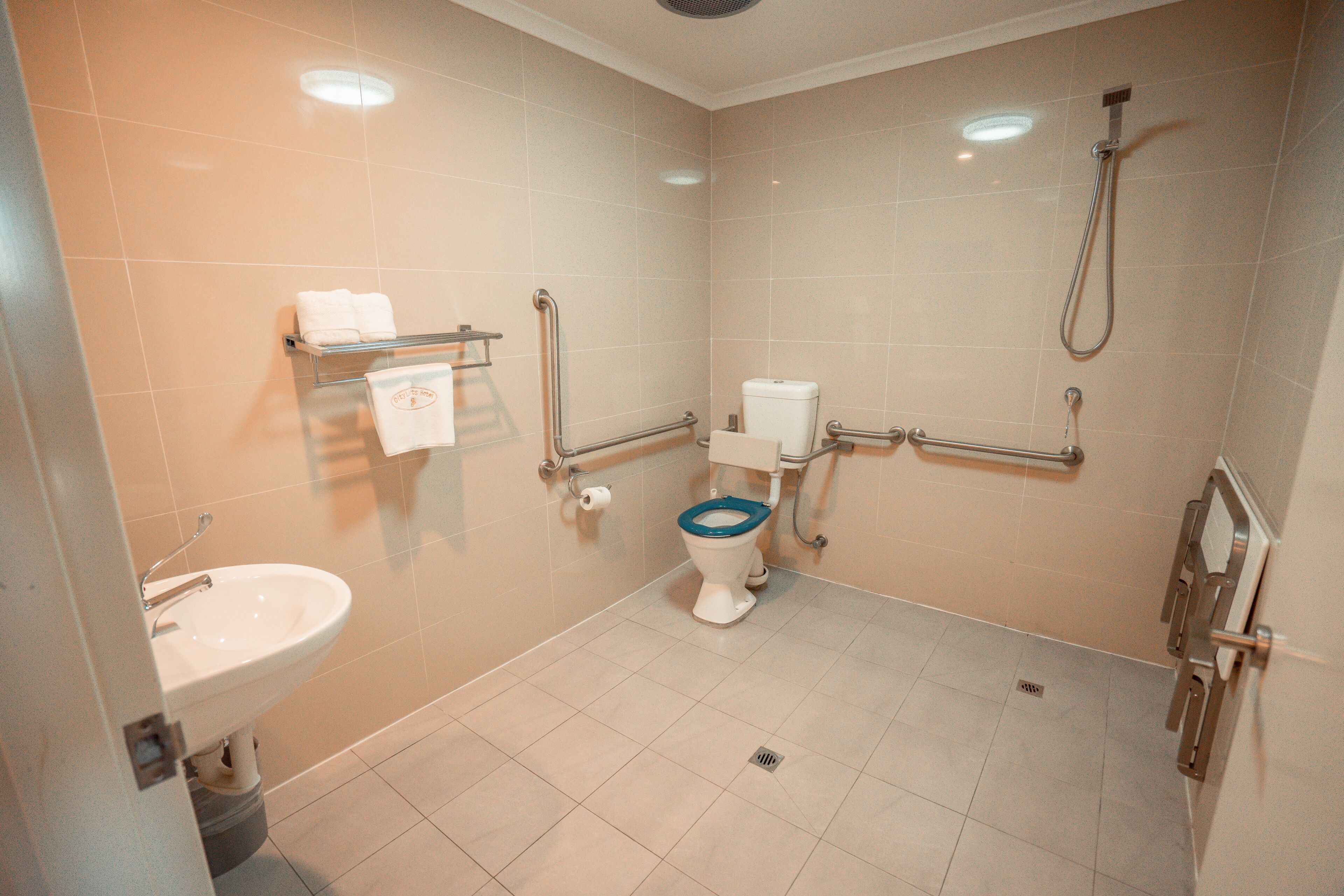 deluxe queen accessible  | bathroom | shower, free toiletries, hair dryer, towels