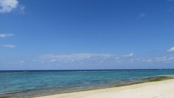 A beach with clear blue water and a sandy shore.