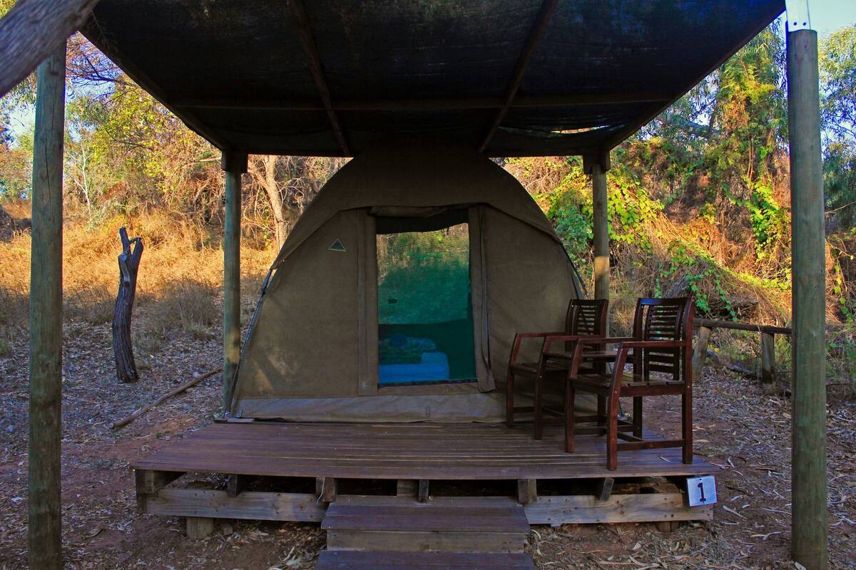 Mini Safari Tent (Double)