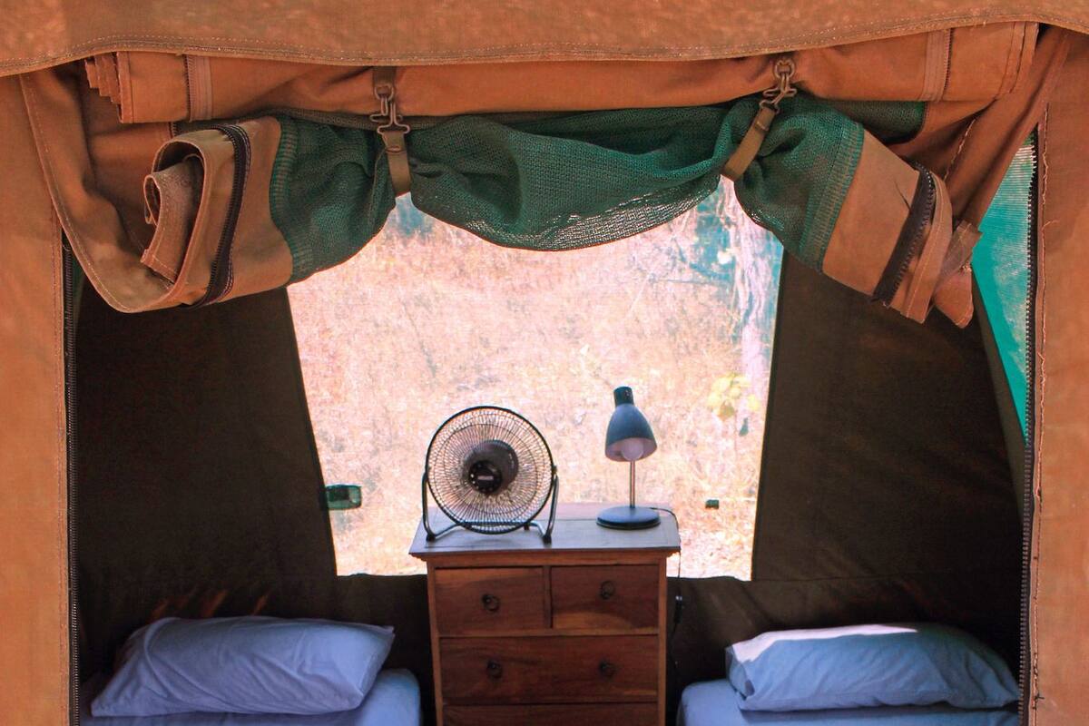 Basic-Zelt, Gemeinschaftsbad (Mini Safari Tent (Twin))