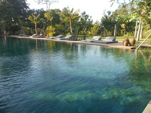 Outdoor pool - Serenity Riverside (Kerobokan)