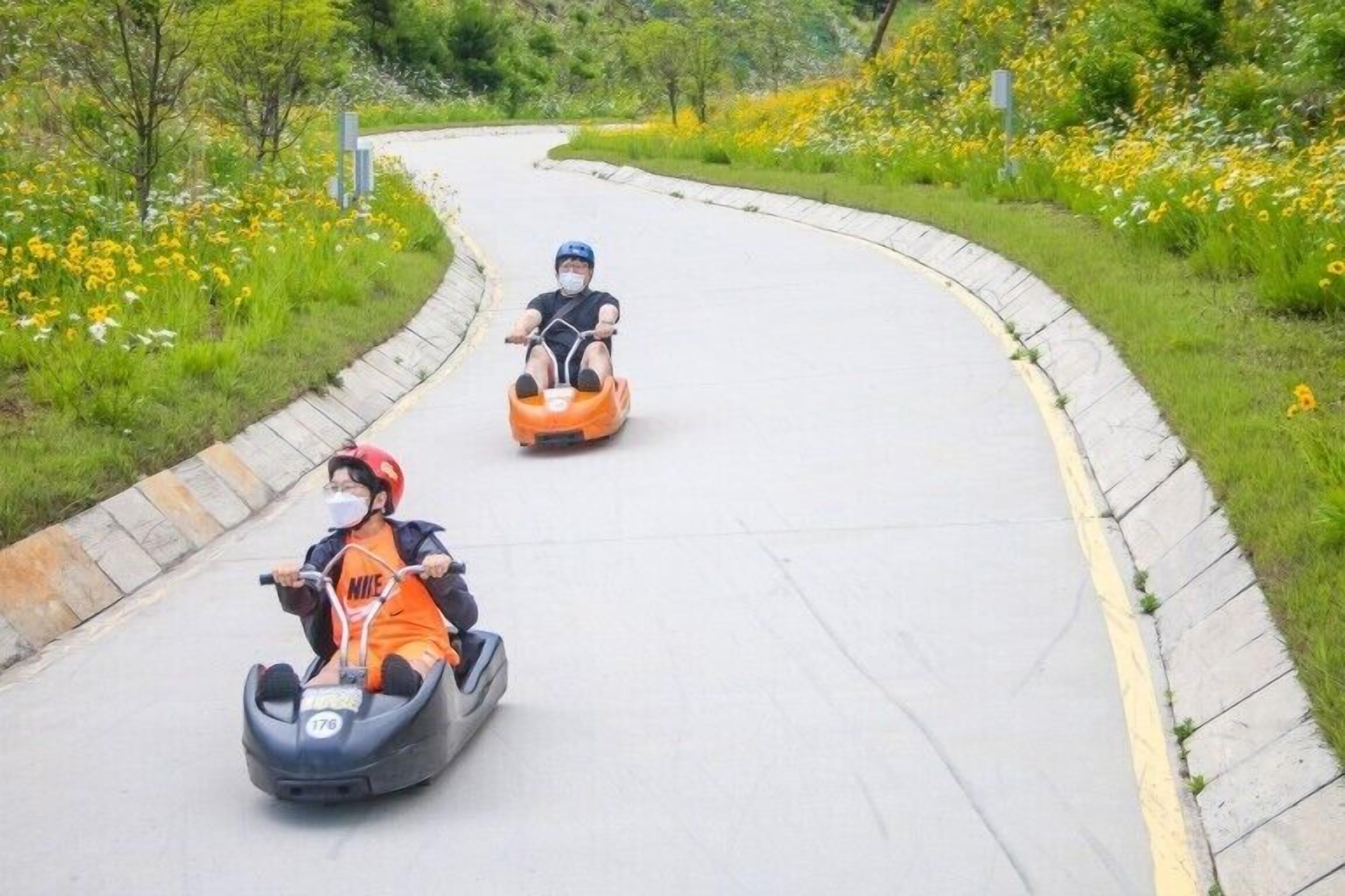 Deux personnes conduisent des autos-tamponneuses sur une piste sinueuse, entourée de verdure et de fleurs.