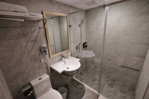 Hair dryer, towels, shampoo, toilet paper