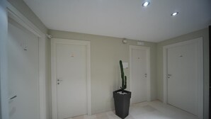 A hallway with three white doors, a potted cactus, and recessed ceiling lights.