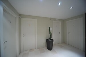 A hallway with three white doors, a potted cactus, and recessed ceiling lights.