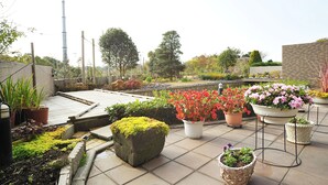 Un jardin sur le toit, agrémenté de différentes plantes en pot et d’un petit élément décoratif aquatique.