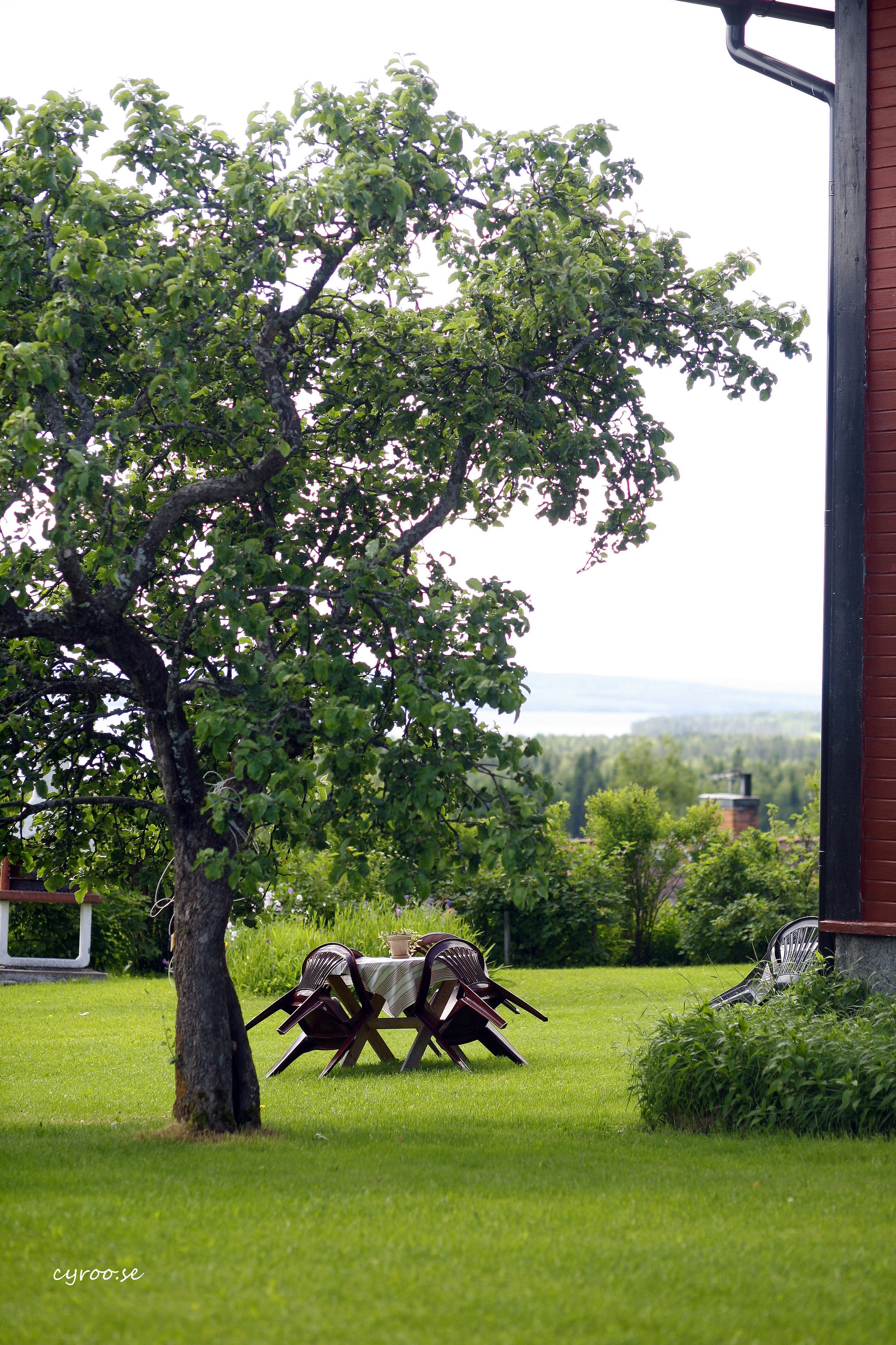 Trädgård