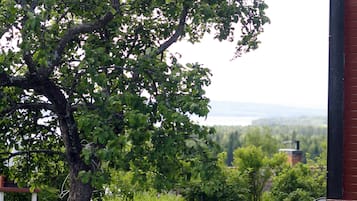 Trädgård