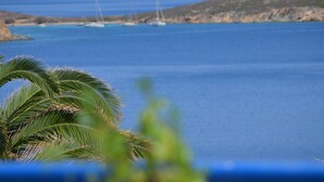 Une vue sur la côte, avec des voiliers sur l’eau et un palmier au premier plan.
