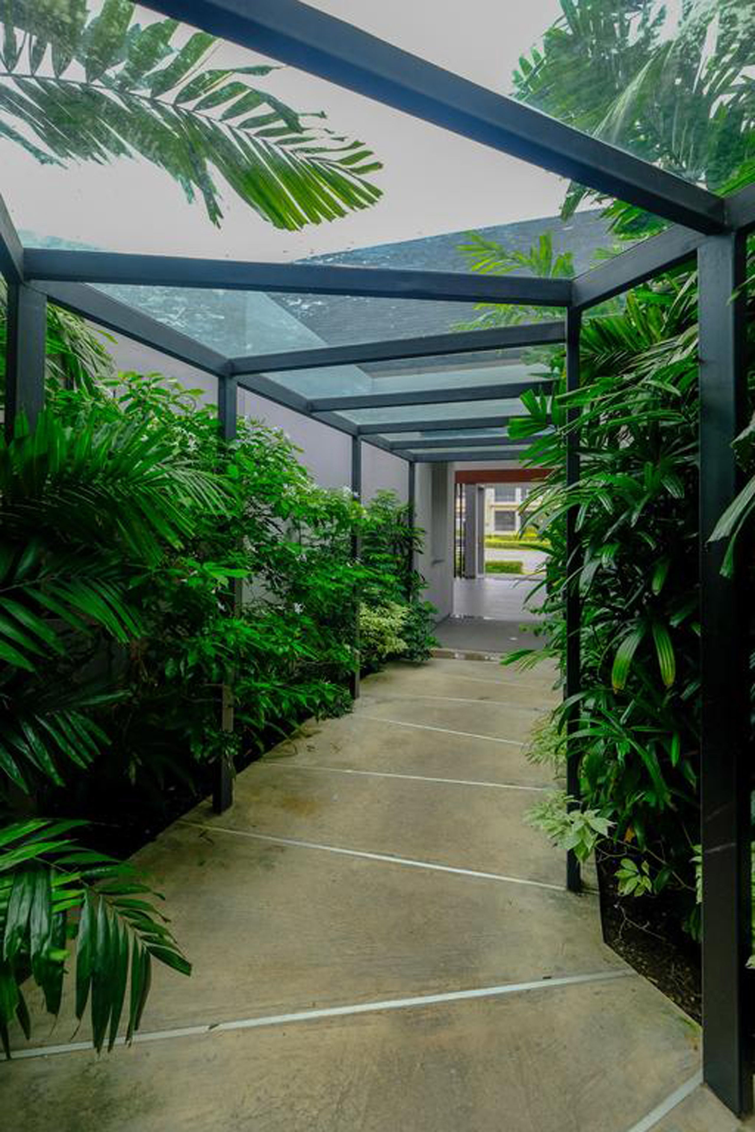 A covered walkway with glass panels and lush green plants on either side.