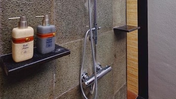 A shower with a handheld showerhead and a wall-mounted head. There are two bottles on a shelf, one labeled "Kleenex" and the other "Lotion."