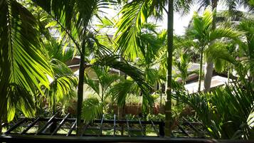 Vista desde la habitación