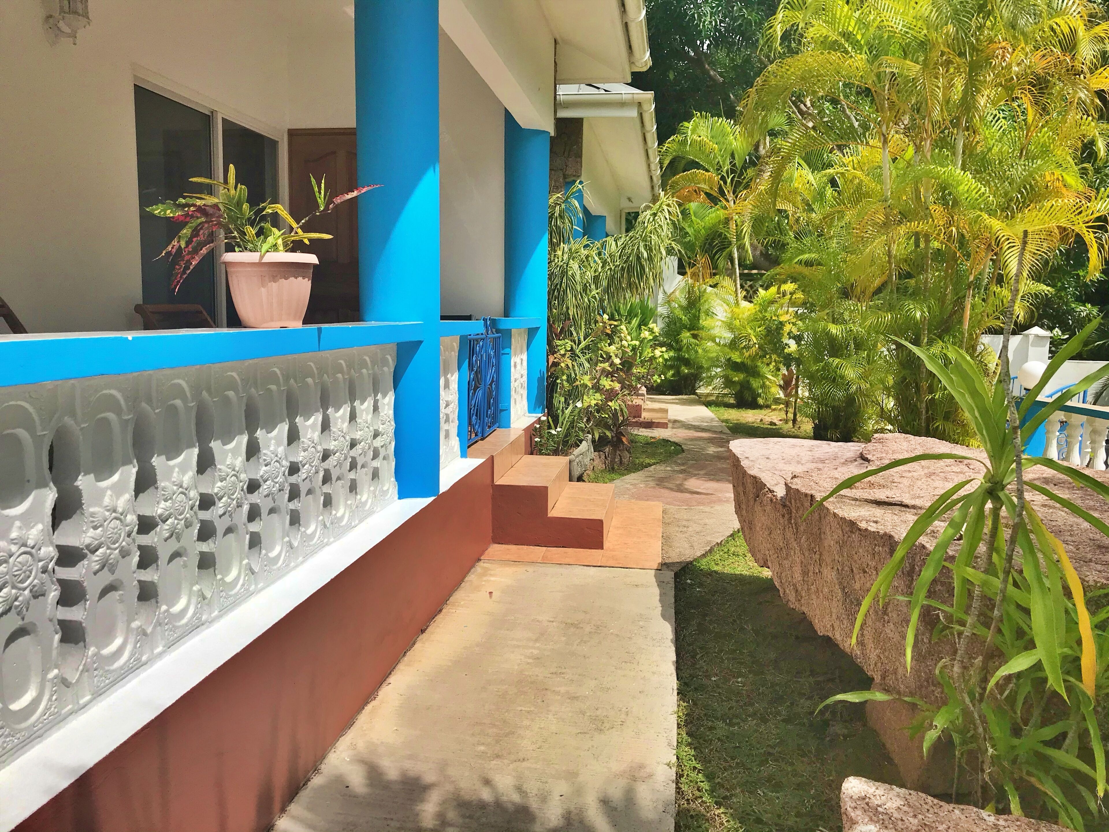 Un sendero conduce a un edificio de paredes exteriores azules y blancas, plantas en macetas y un pequeño jardín con diversas plantas tropicales.