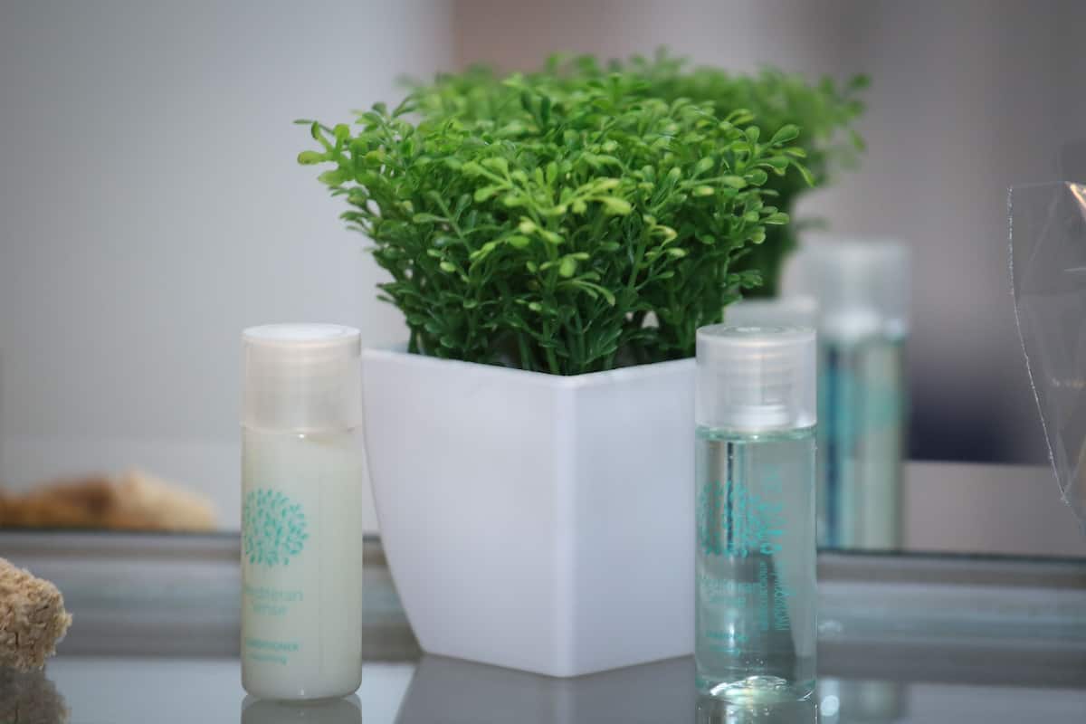 shower, free toiletries, hair dryer, slippers