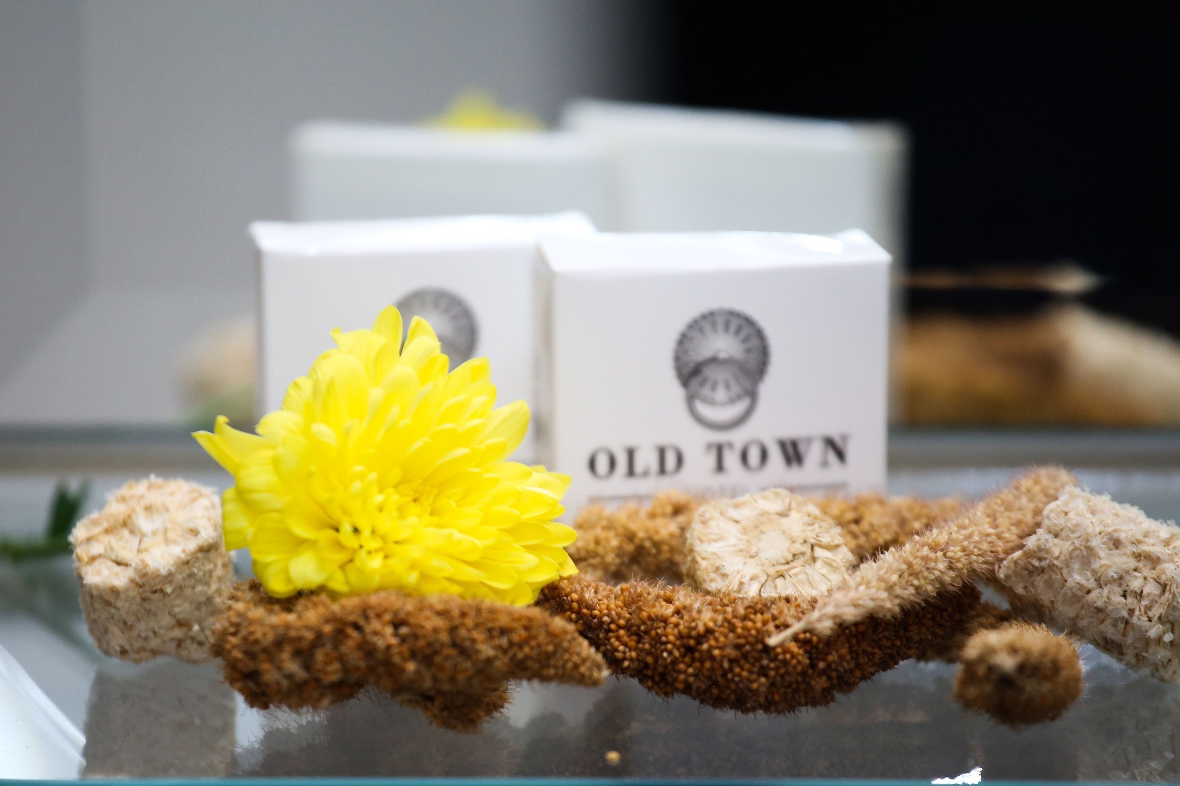 Foto - Old Town Hotel