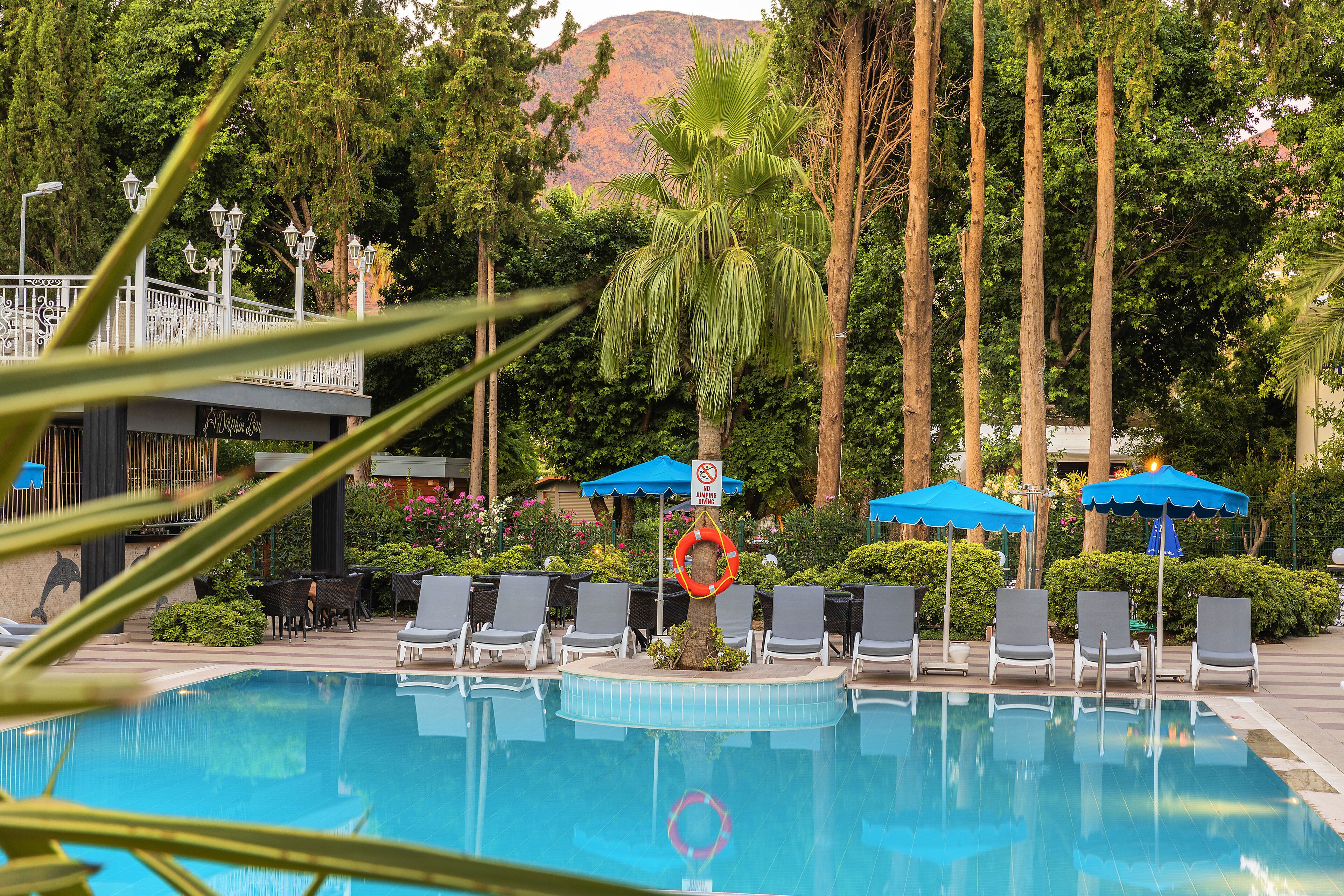 حمّام سباحة خارجي، مظلات على حمّام السباحة، مقاعد للتشمس