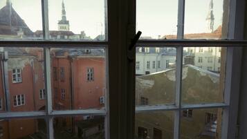 Standard Double Room, City View | View from room