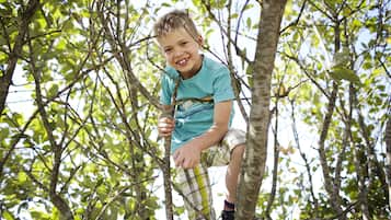Un enfant qui grimpe à un arbre.