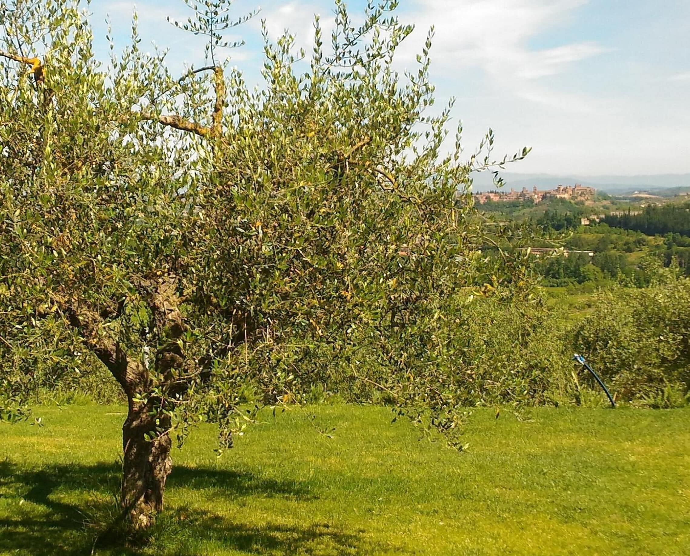 Photo - Capanna 1826