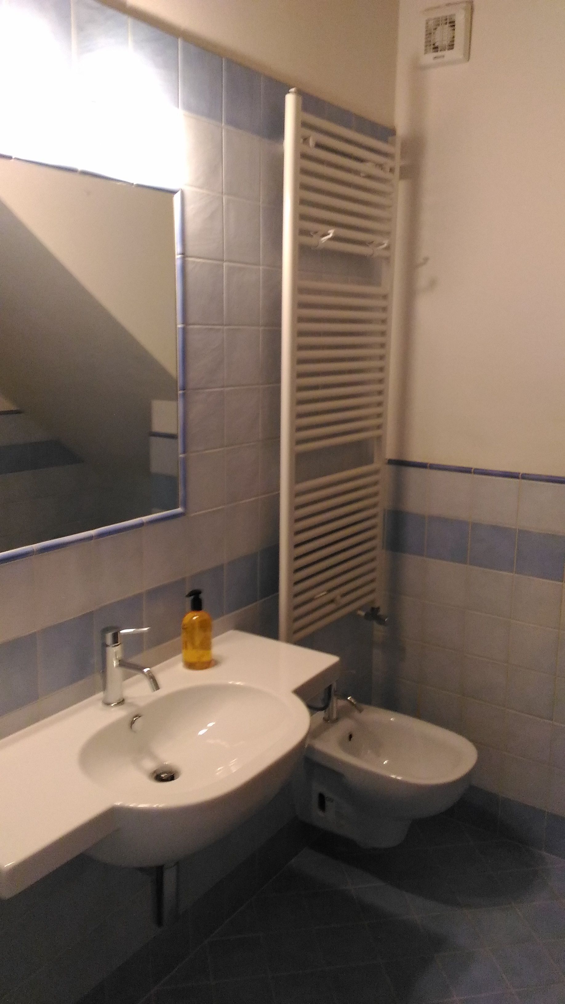 A bathroom with a sink, bidet, and a towel rack.
