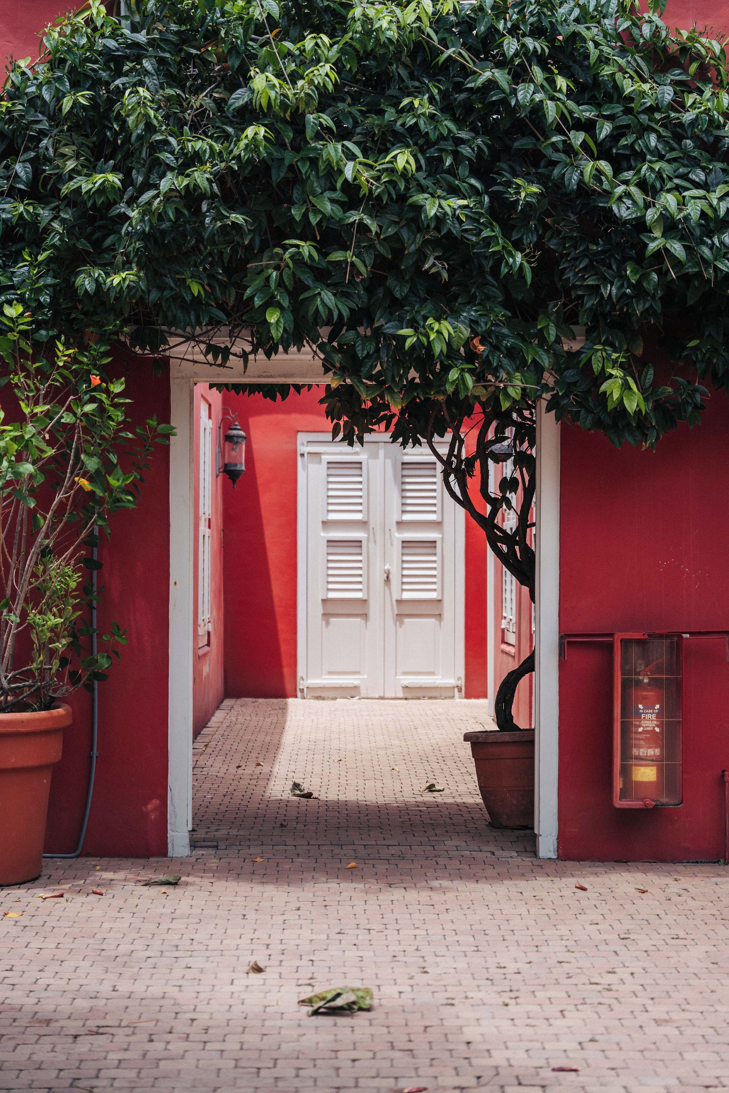 Foto - Villa Tokara