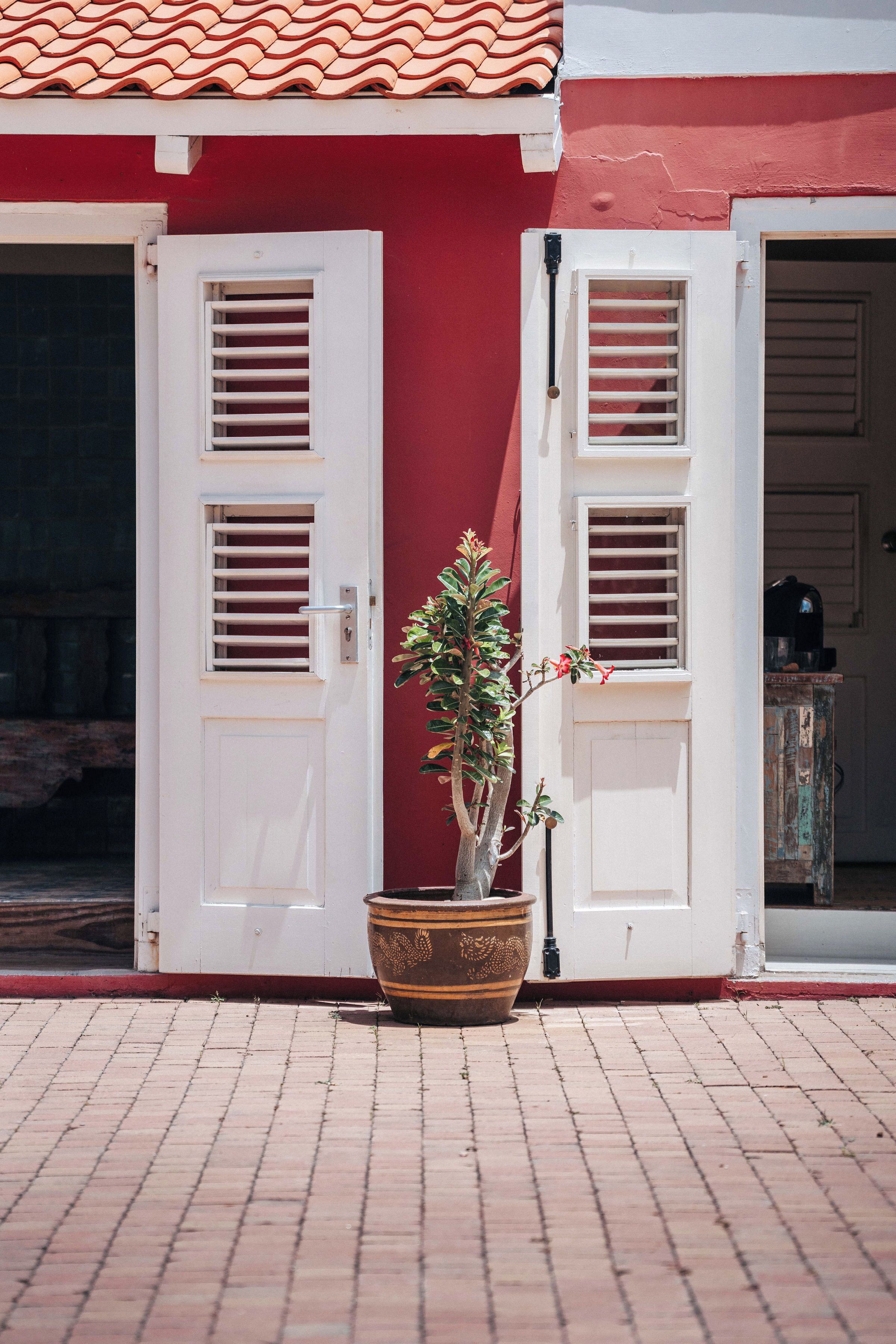 Foto - Villa Tokara