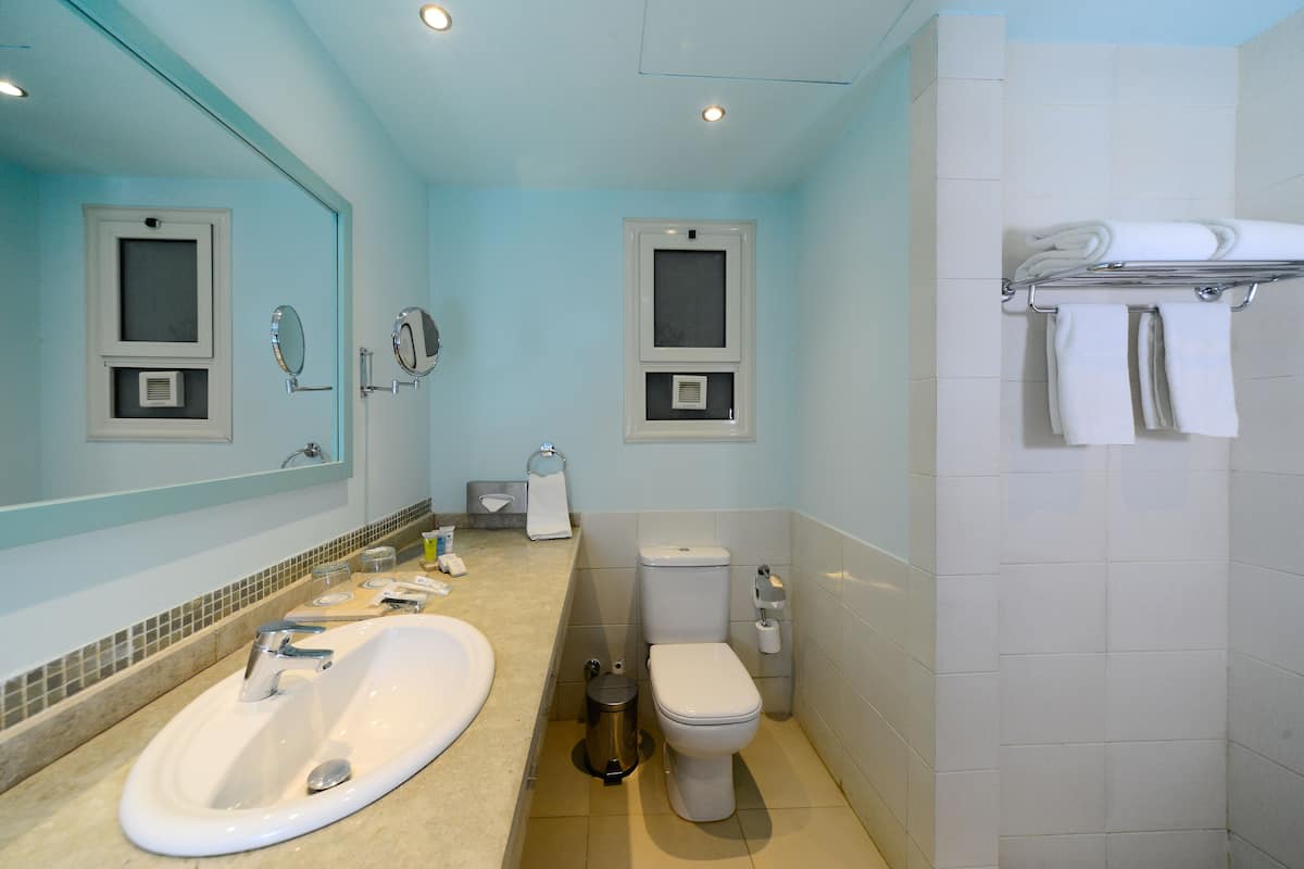 shower, free toiletries, hair dryer, towels