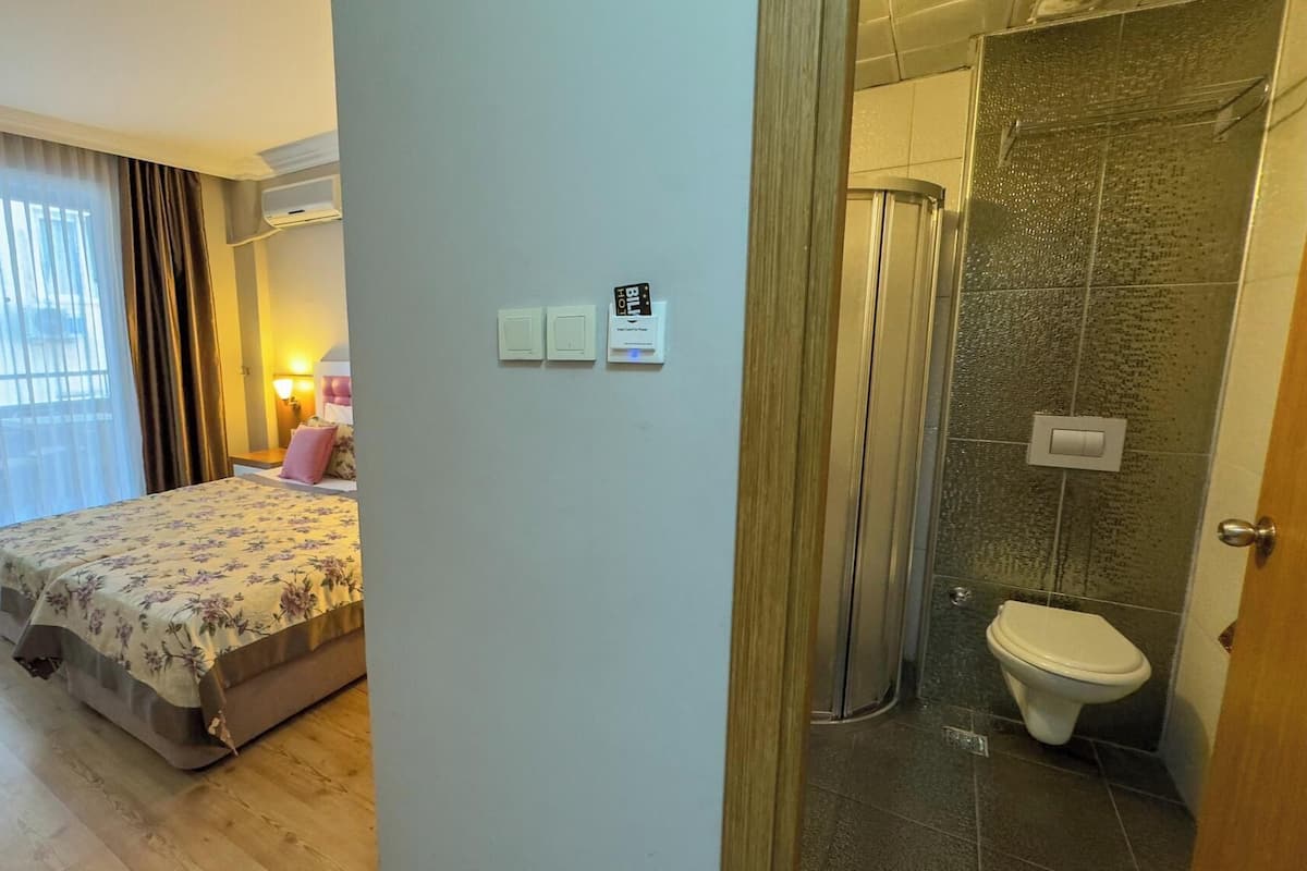 Minibar, desk, free cribs/infant beds, WiFi