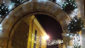 An arched stone gateway with Christmas lights and small trees, leading to a building with illuminated windows and a sign. - Art Hotel Pietrasanta (Pietrasanta)