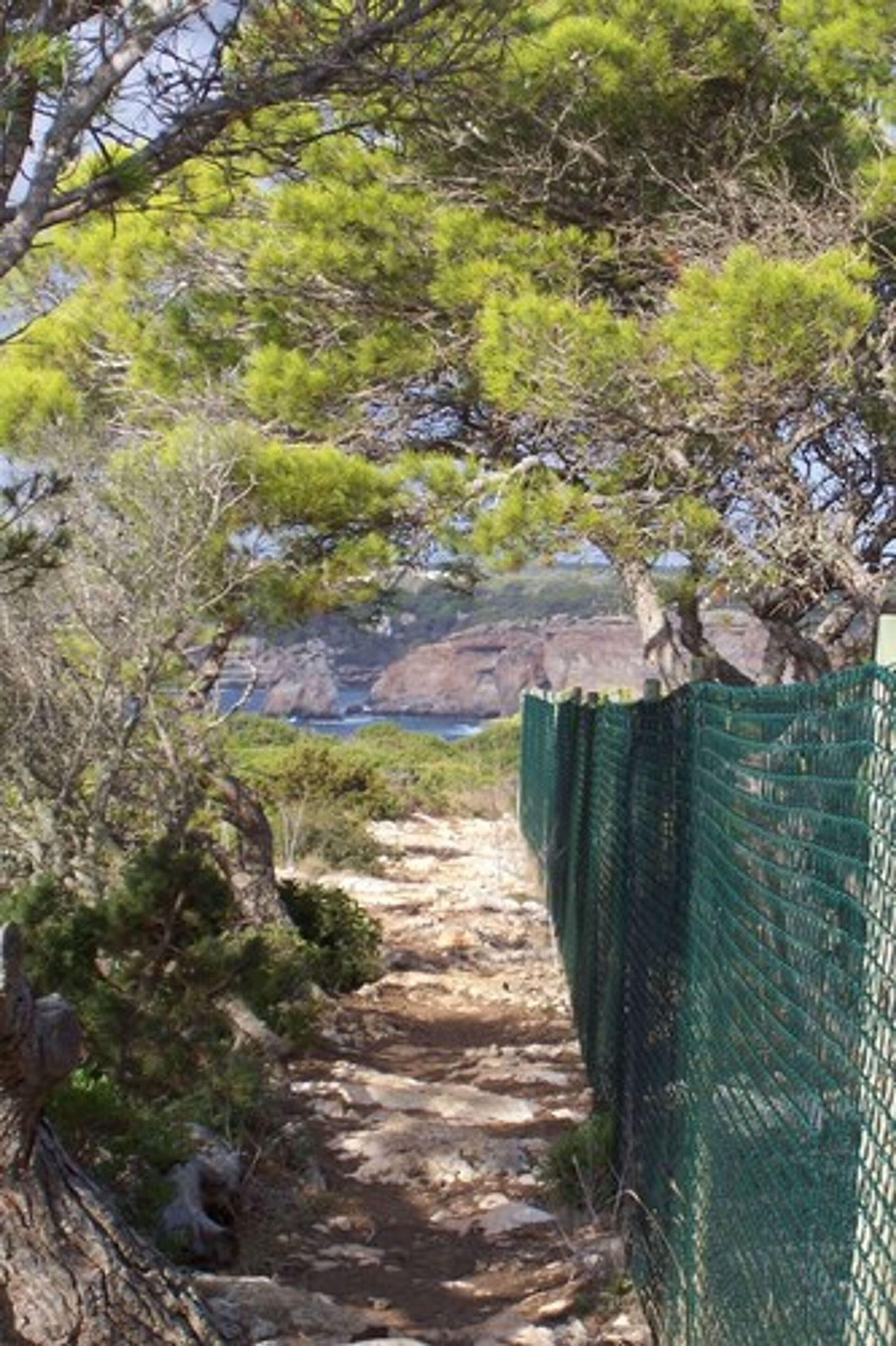 A narrow, rocky path flanked by green netting, leading towards a coastal landscape with cliffs and sparse vegetation.