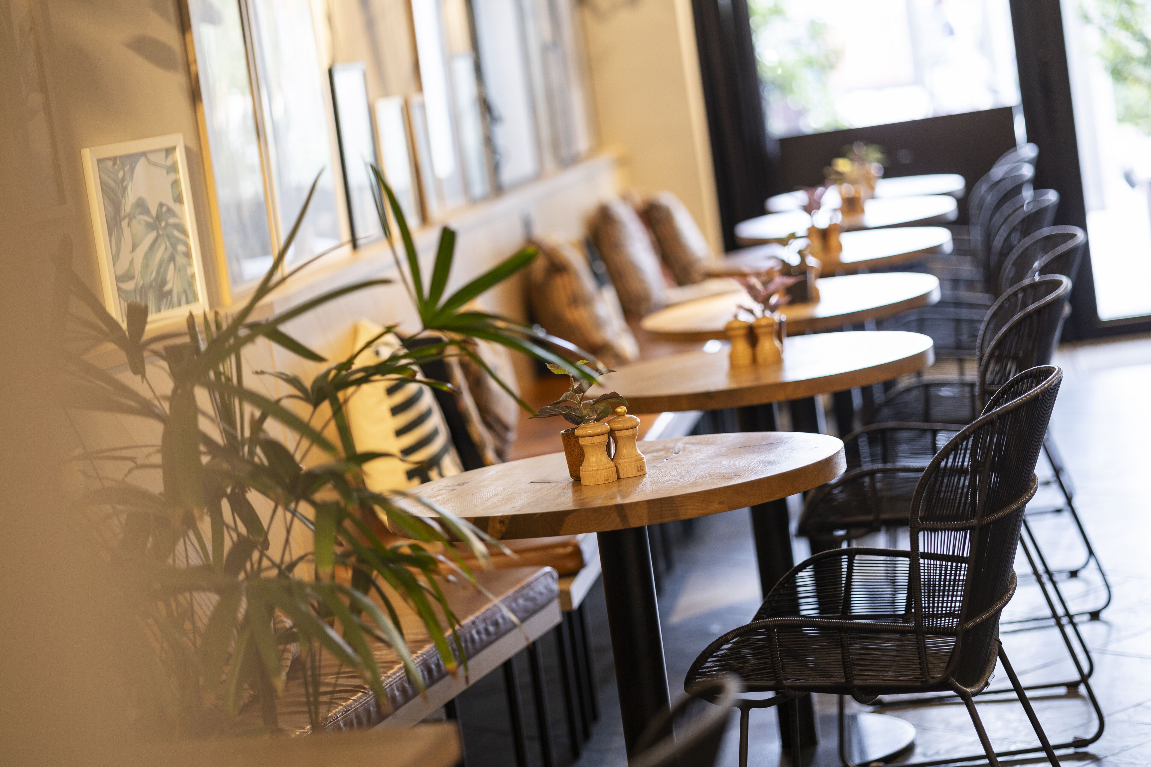 A row of tables with chairs, some with plants, in a cafe setting.