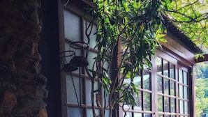 Un muro de piedra, una planta grande en maceta y un edificio con ventanas amplias.