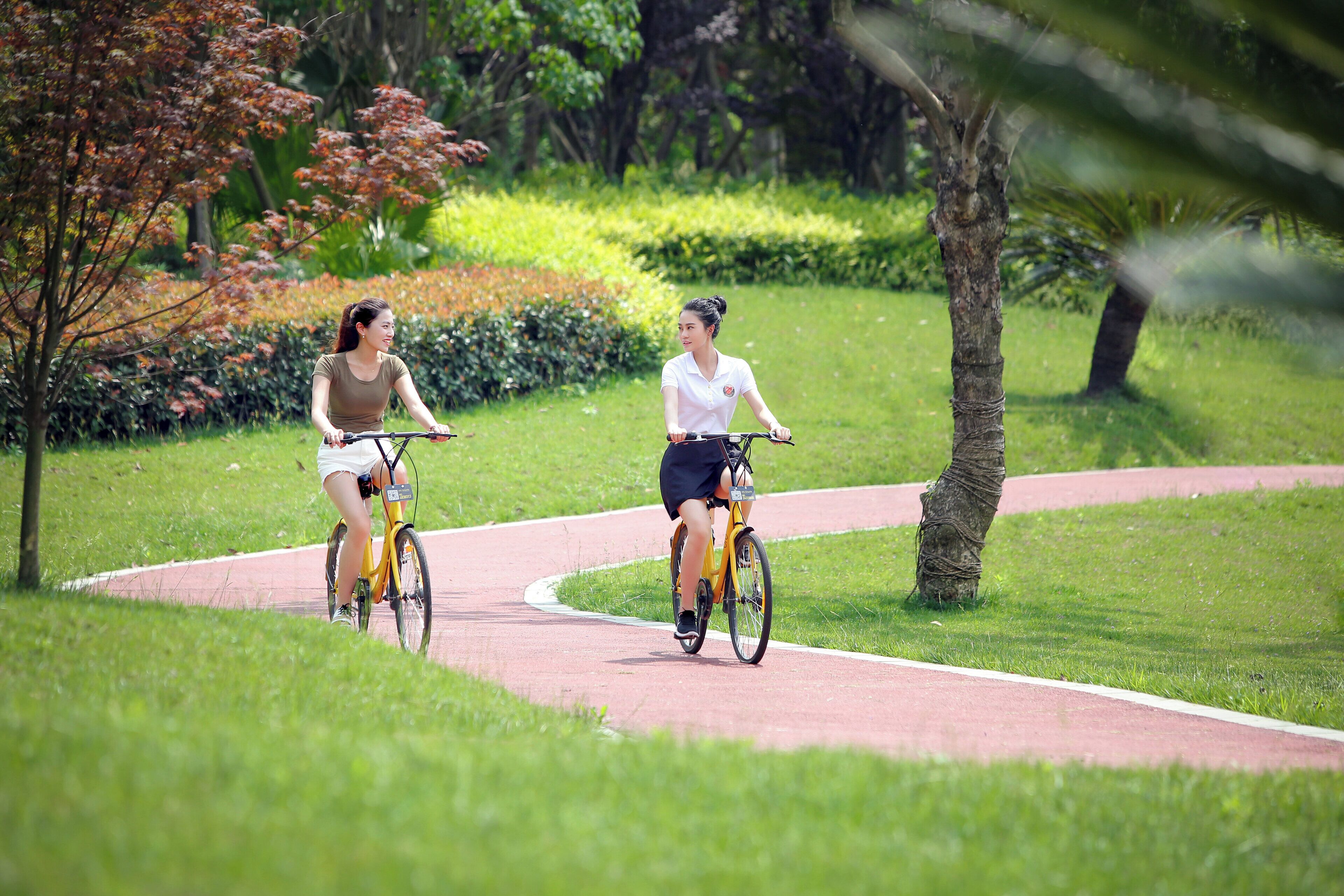 Photo - Holiday Inn Chengdu Qinhuang by IHG