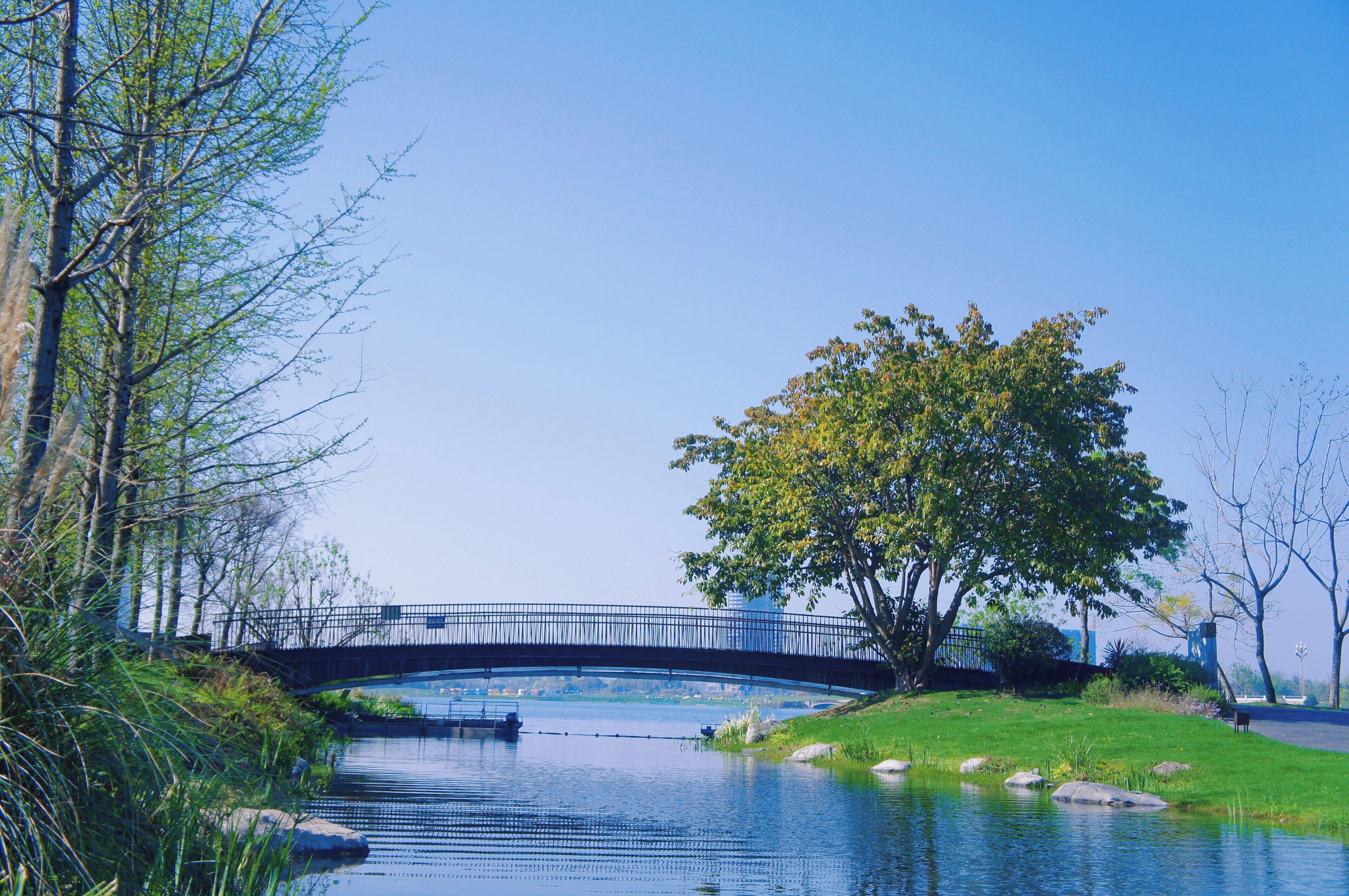 Foto - Holiday Inn Chengdu Qinhuang by IHG