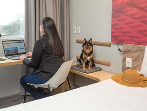 Minibar, safe på rommet, skrivebord og wi-fi (inkludert)