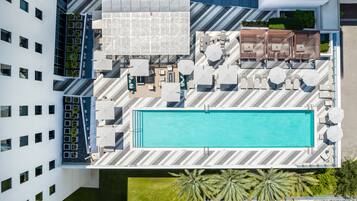 Outdoor pool, sun loungers