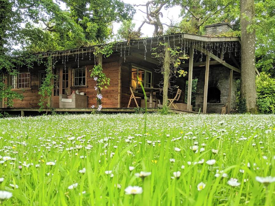 A rustic wooden cabin with a porch, surrounded by a lush garden with white flowers.
