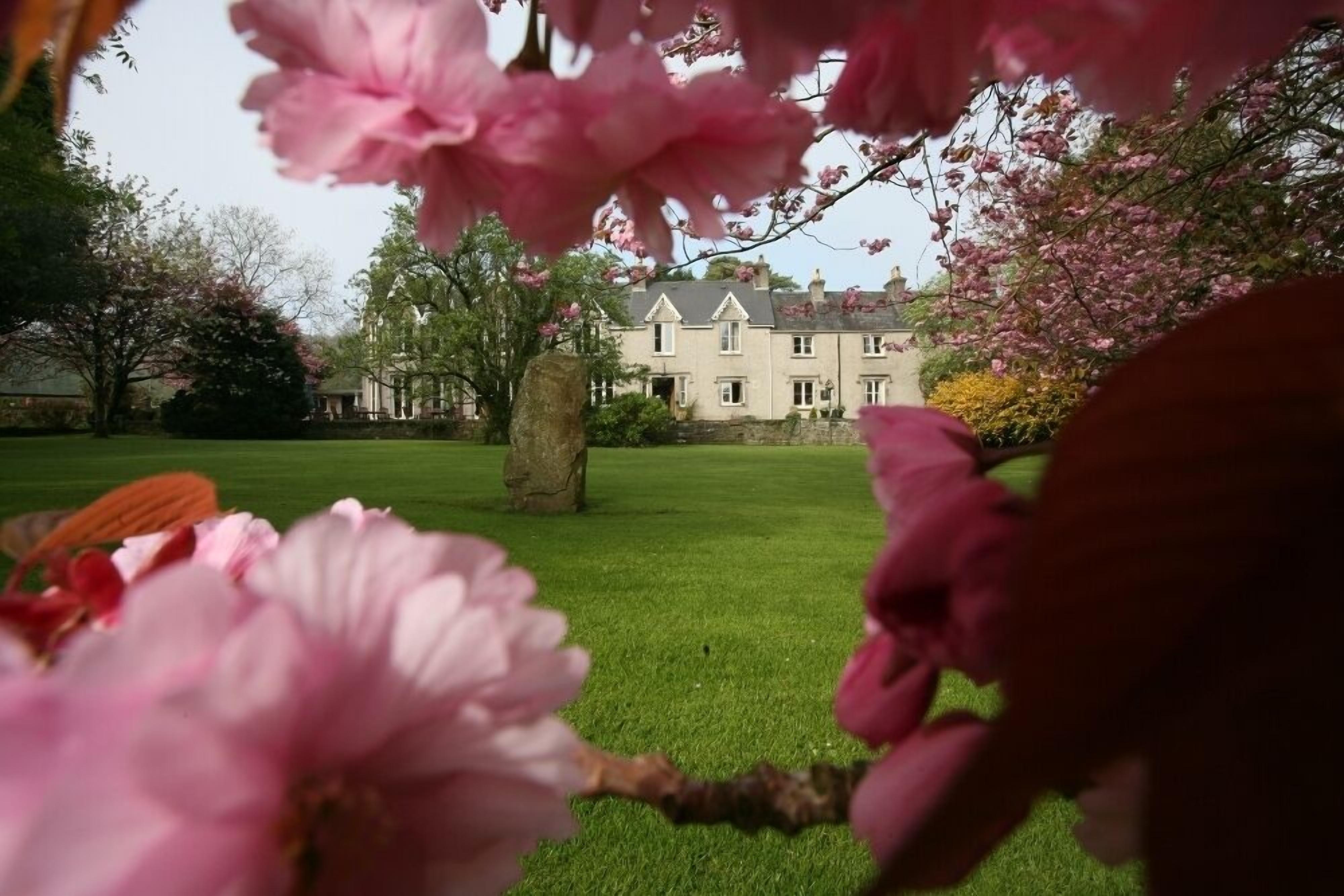 A large, traditional building with a symmetrical facade, surrounded by a well-maintained lawn and flowering trees.